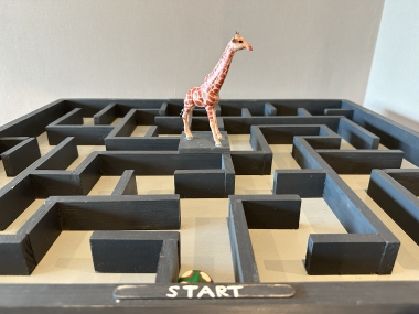 Doolhofspel safari